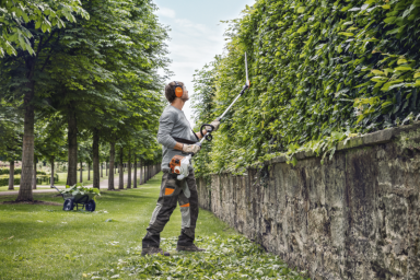 Mann schneidet Hecke mit einer motorisierten Teleskopheckenschere in einem Park.